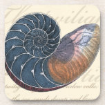 Romantic Seashell Drankjes Onderzetter<br><div class="desc">Woon je ver van het strand? Geen probleem! Haal dit romantische schilderij, zodat je jezelf kunt afbeeldingen op een vreedzaam strand op een zonnige dag. Dit kunstwerk romantiseert het zee en de kleine golven die je zullen laten vrezen voor een bezoek aan het strand. Haal dit omgevormde paneel op uw...</div>
