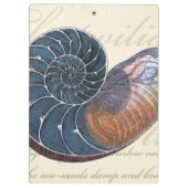 Romantic Seashell Klembord (Achterkant)