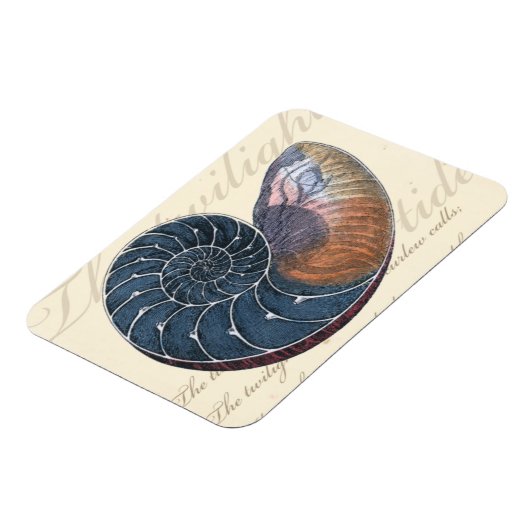 Romantic Seashell Magneet (Linkerzijde)