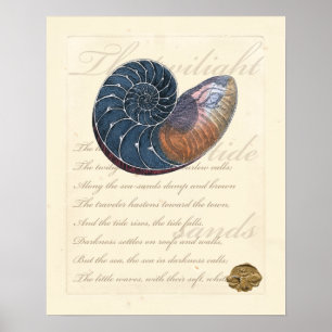 Romantic Seashell Poster