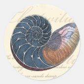 Romantic Seashell Ronde Sticker (Voorkant)