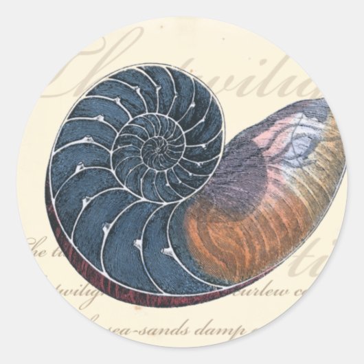 Romantic Seashell Ronde Sticker (Voorkant)