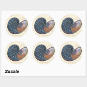 Romantic Seashell Ronde Sticker (Vel)