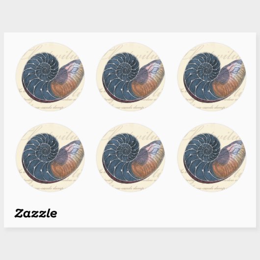 Romantic Seashell Ronde Sticker (Vel)