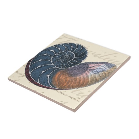 Romantic Seashell Tegeltje (Zijkant)