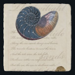 Romantic Seashell Trivet<br><div class="desc">Woon je ver van het strand? Geen probleem! Haal dit romantische schilderij, zodat je jezelf kunt afbeeldingen op een vreedzaam strand op een zonnige dag. Dit kunstwerk romantiseert het zee en de kleine golven die je zullen laten vrezen voor een bezoek aan het strand. Haal dit omgevormde paneel op uw...</div>