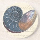 Romantic Seashell Zandsteen Onderzetter<br><div class="desc">Woon je ver van het strand? Geen probleem! Haal dit romantische schilderij, zodat je jezelf kunt afbeeldingen op een vreedzaam strand op een zonnige dag. Dit kunstwerk romantiseert het zee en de kleine golven die je zullen laten vrezen voor een bezoek aan het strand. Haal dit omgevormde paneel op uw...</div>