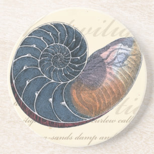 Romantic Seashell Zandsteen Onderzetter