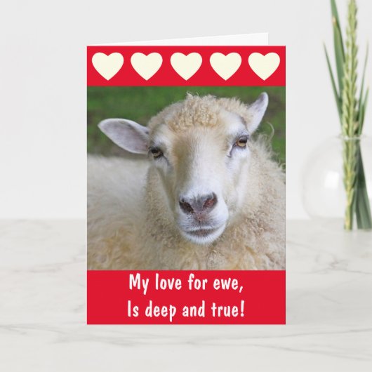 Romantic Sheep True Love Valentijnsdag Feestdagen Kaart (Voorkant)