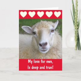 Romantic Sheep True Love Valentijnsdag Feestdagen Kaart