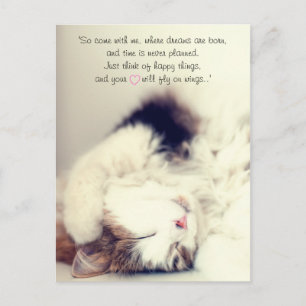 Romantic slaapkat scène J.M. Barrie quote Briefkaart