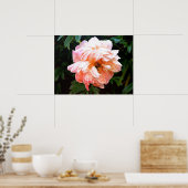 Romantic Spring Peony in Bleek strand Poster (Keuken)