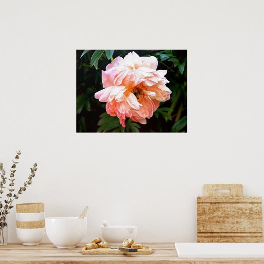 Romantic Spring Peony in Bleek strand Poster (Keuken)