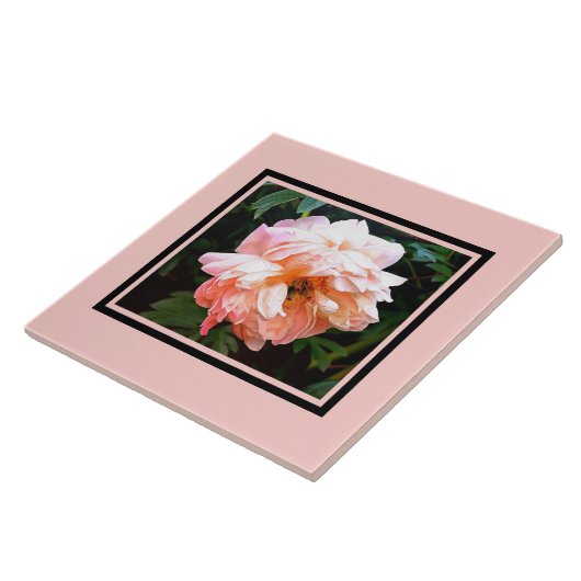 Romantic Spring Peony in Bleek strand Tegeltje (Zijkant)