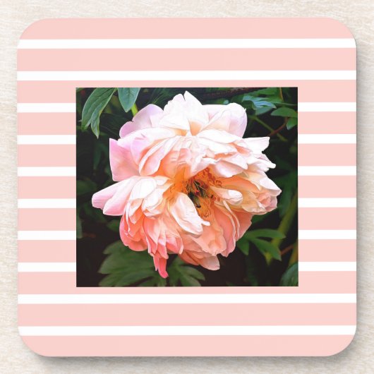 Romantic Spring Peony op peach Stripes Bier Onderzetter (Voorkant)