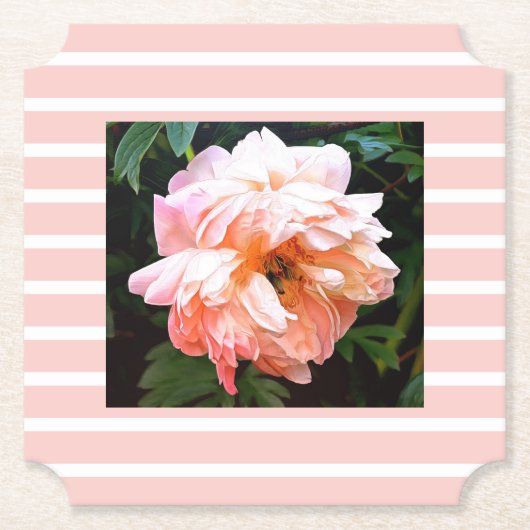 Romantic Spring Peony op peach Stripes Kartonnen Onderzetters (Voorkant)