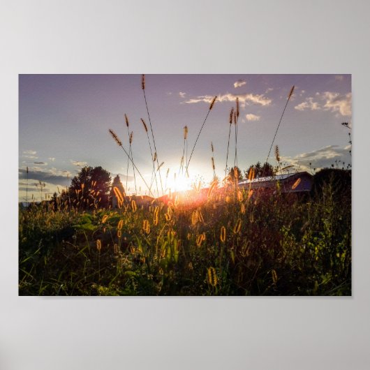 Romantic sunset in the fields (Graz, Austria) Poster (Voorkant)