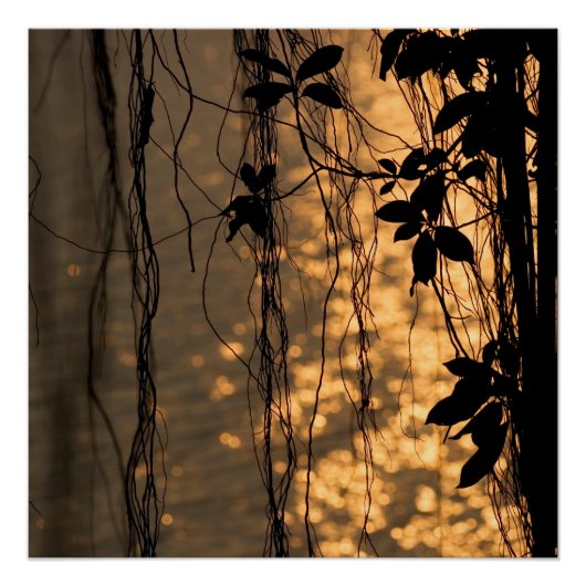 Romantic Sunset Poster (Voorkant)