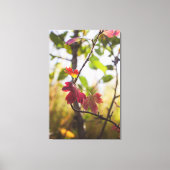 Romantic Trees & Flowers – Botanical Fantasy Boho Canvas Afdruk (Voorkant)