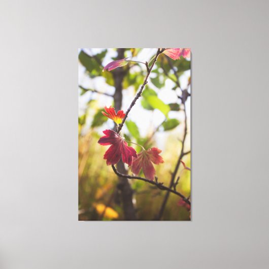 Romantic Trees & Flowers – Botanical Fantasy Boho Canvas Afdruk (Voorkant)