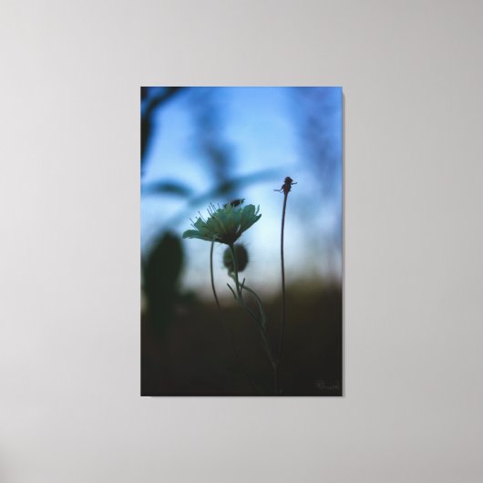 Romantic Trees & Flowers – Botanical Fantasy Boho Canvas Afdruk (Voorkant)