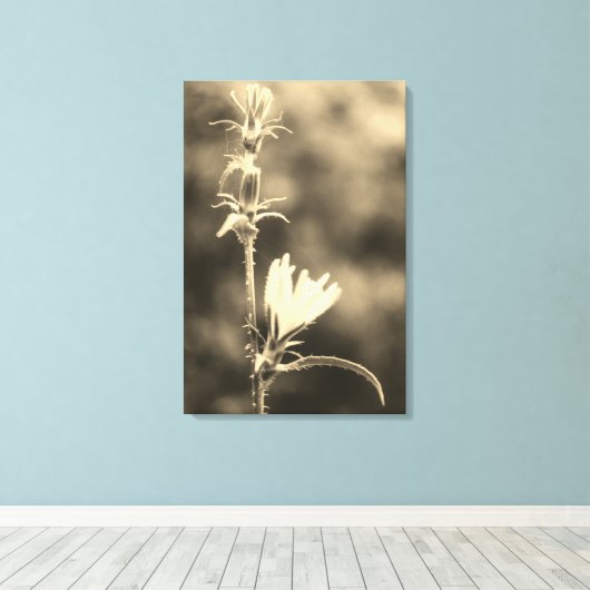 Romantic Trees & Flowers – Botanical Fantasy Boho Canvas Afdruk (Insitu (Houten vloer))