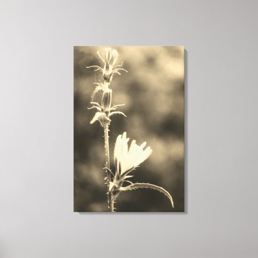 Romantic Trees & Flowers – Botanical Fantasy Boho Canvas Afdruk (Voorkant)