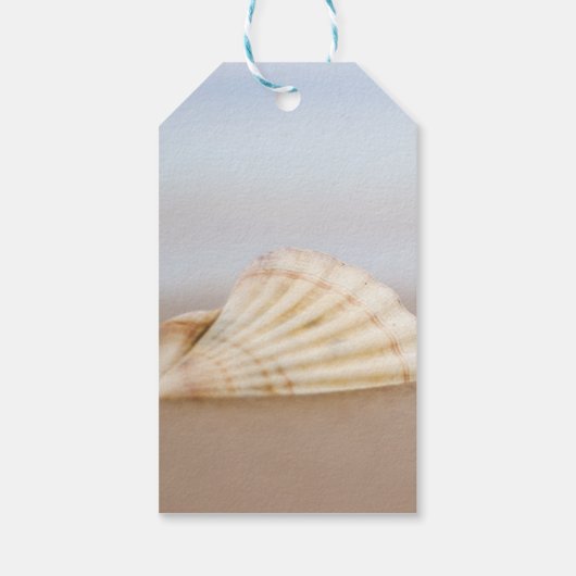 Romantic Tropical Beach Seashell, Plumeria Cadeaulabel (Achterkant)