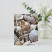 Romantic Tropical Exotic Sea Shells Beach Love Briefkaart (Staand voorkant)