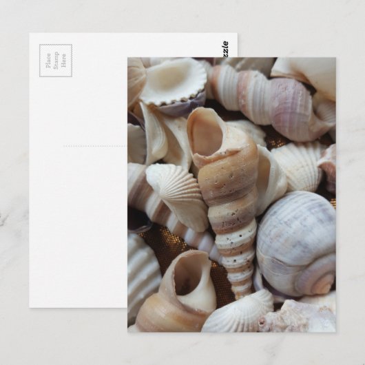 Romantic Tropical Exotic Sea Shells Beach Love Briefkaart (Voorkant / Achterkant)