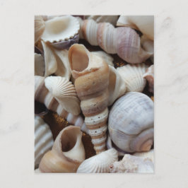Romantic Tropical Exotic Sea Shells Beach Love Briefkaart