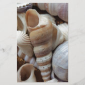 Romantic Tropical Exotic Sea Shells Beach Love Briefpapier (Voorkant)