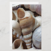 Romantic Tropical Exotic Sea Shells Beach Love Briefpapier (Voorkant / Achterkant)