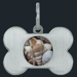 Romantic Tropical Exotic Sea Shells Beach Love Huisdieren Naamplaatje<br><div class="desc">Romantic Tropical Exotic Sea Shells Beach Love</div>