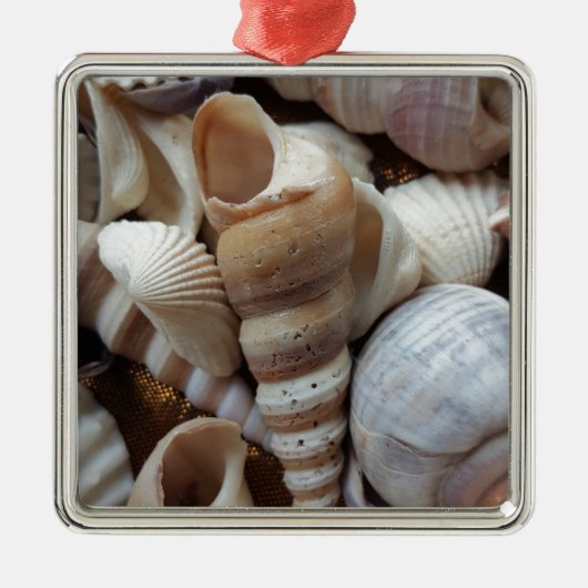 Romantic Tropical Exotic Sea Shells Beach Love Metalen Ornament (Voorkant)