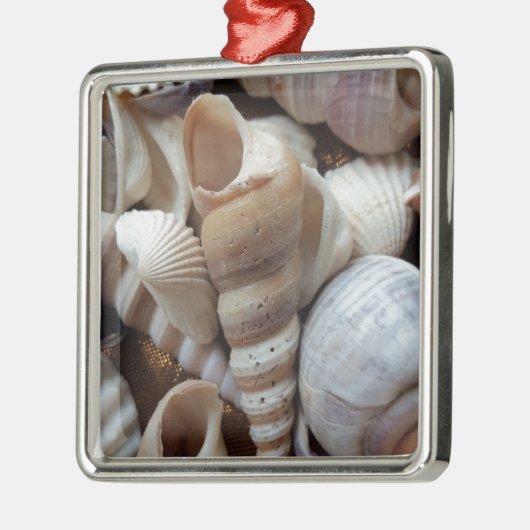 Romantic Tropical Exotic Sea Shells Beach Love Metalen Ornament (Links)