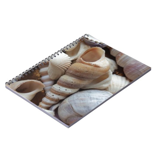 Romantic Tropical Exotic Sea Shells Beach Love Notitieboek (Linkerzijde)