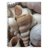 Romantic Tropical Exotic Sea Shells Beach Love Notitieboek (Voorkant)