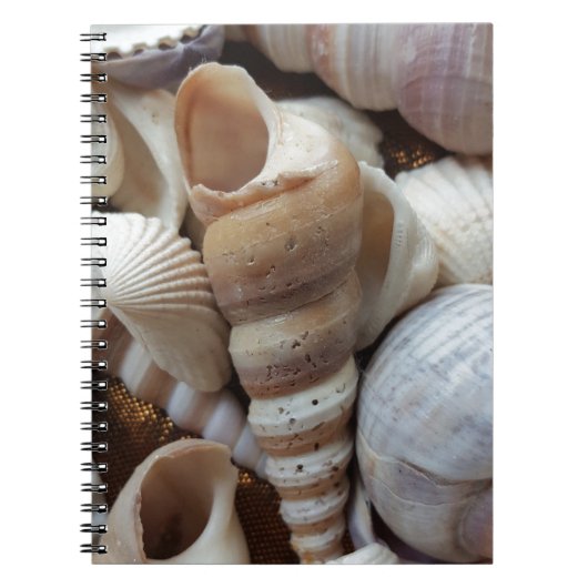Romantic Tropical Exotic Sea Shells Beach Love Notitieboek (Voorkant)