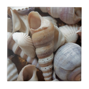 Romantic Tropical Exotic Sea Shells Beach Love Tegeltje