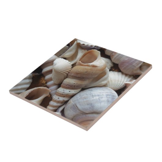 Romantic Tropical Exotic Sea Shells Beach Love Tegeltje (Zijkant)