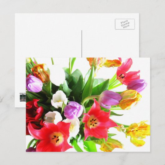 Romantic Tulip Flowers Briefkaart (Voorkant / Achterkant)