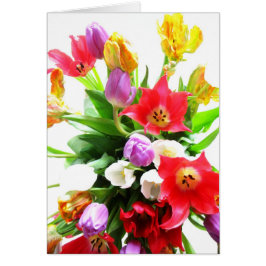 Romantic Tulips Bouquet