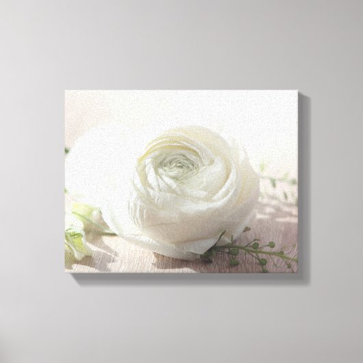 Romantic White Rose Canvas Afdruk (Voorkant)