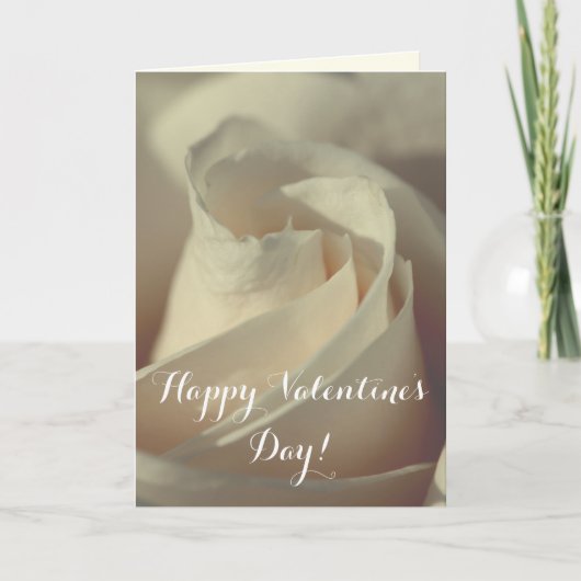 Romantic White Rose Feestdagen Kaart (Voorkant)