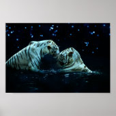 Romantic White Tiger Couple in Water at Night Poster (Voorkant)