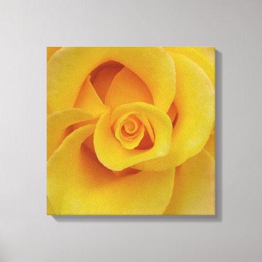 Romantic Yellow Rose Petals Canvas Afdruk (Voorkant)