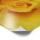 Romantic Yellow Rose Petals Foto Afdruk (Hoek)