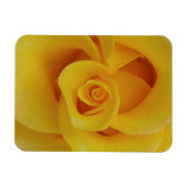 Romantic Yellow Rose Petals Magneet (Horizontaal)