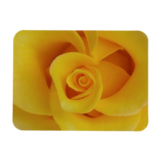 Romantic Yellow Rose Petals Magneet (Horizontaal)